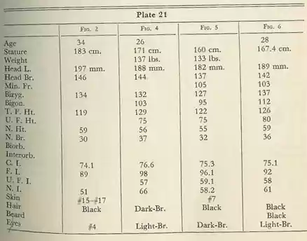 Plate 21
